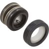 354545S Shaft Seal Pentair 5/8