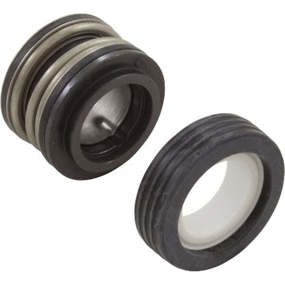 354545S Shaft Seal Pentair 5/8