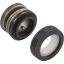 354545S Shaft Seal Pentair 5/8