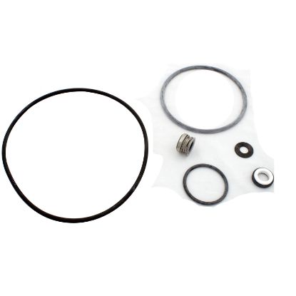 PP4200 Seal Kit Pentair Sta-Rite DuraGlas II