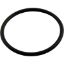 U9-226 O-Ring Pentair Sta-Rite Pump Union O-49