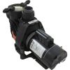  Pump Speck EsyFitDyna-Pro/Glas2.0hp230v2-Spd2