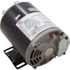 AGL75FL1 Motor Nidec/US Motor 0.75hp 115v 1-Speed 48Y Frame