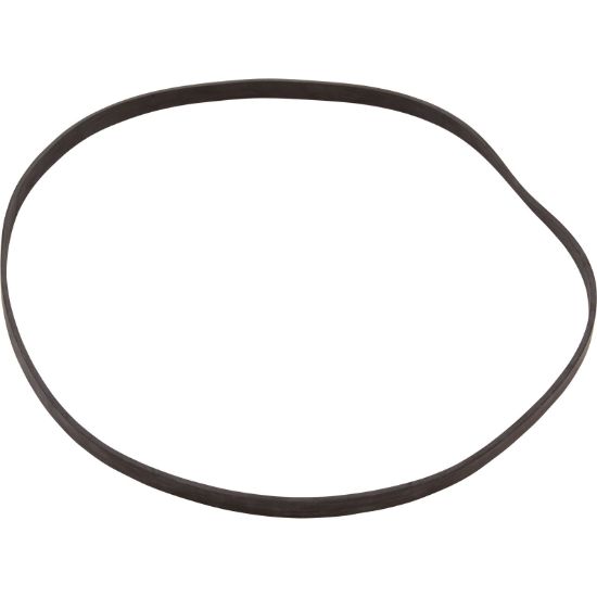 910007 Gasket WMC/PPC AT Series Pump Seal Plate