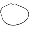 634070 Gasket Waterco HydroStar Seal Plate