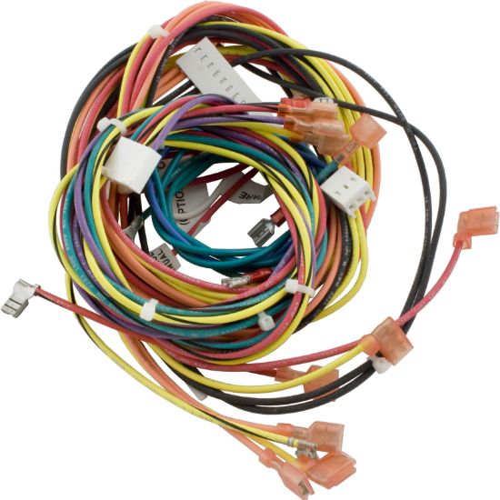 009490F Wire Harness Raypak R185B/206A IID