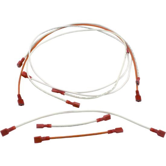 471201 Wire Kit Pentair Minimax 100 Millivolt