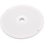 513030 Skimmer Lid Pentair/PacFab SkimClean