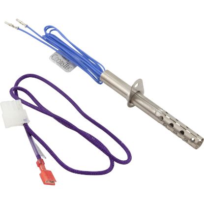 100165919 Igniter Lochinvar Boilers/Heaters With Gasket