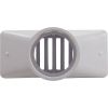 542039 Gutter Drain Pentair 2.5