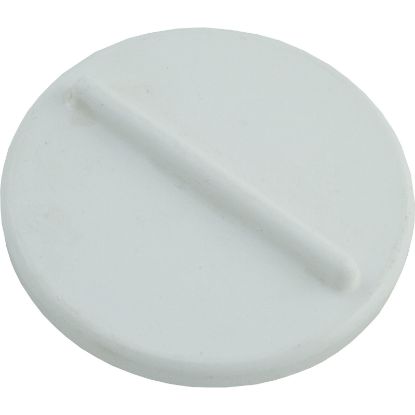 10-1060 Test Plug Balboa Water Group/HAI Main Drain Assembly