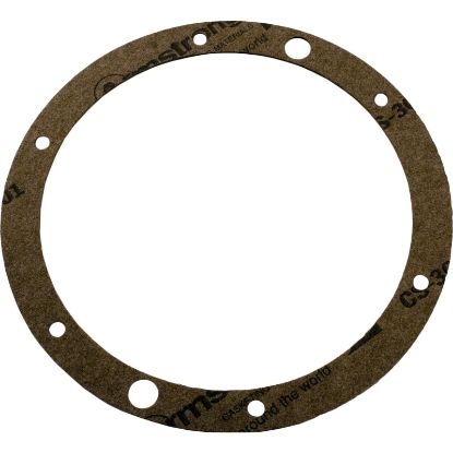 SPX0505G Light Gasket Hayward SP0505