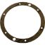 SPX0505G Light Gasket Hayward SP0505