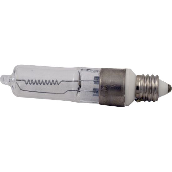 79102900 Bulb Pentair American Products 115v 100w