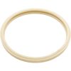 79101601Z Gasket Pentair American Products Amerquartz Light Lens