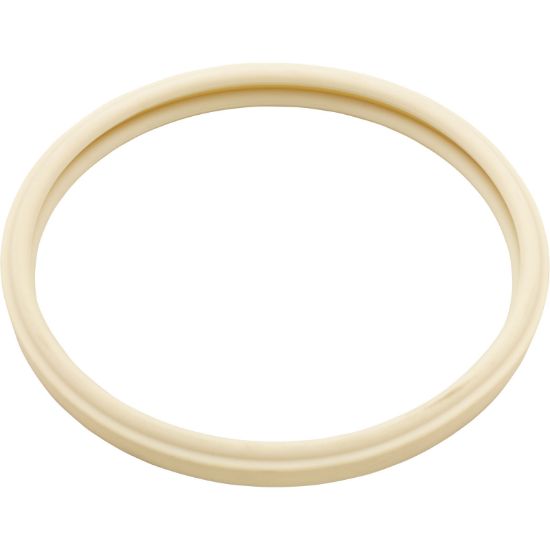 79101601Z Gasket Pentair American Products Amerquartz Light Lens