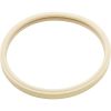 79101601Z Gasket Pentair American Products Amerquartz Light Lens