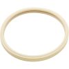 79101601Z Gasket Pentair American Products Amerquartz Light Lens
