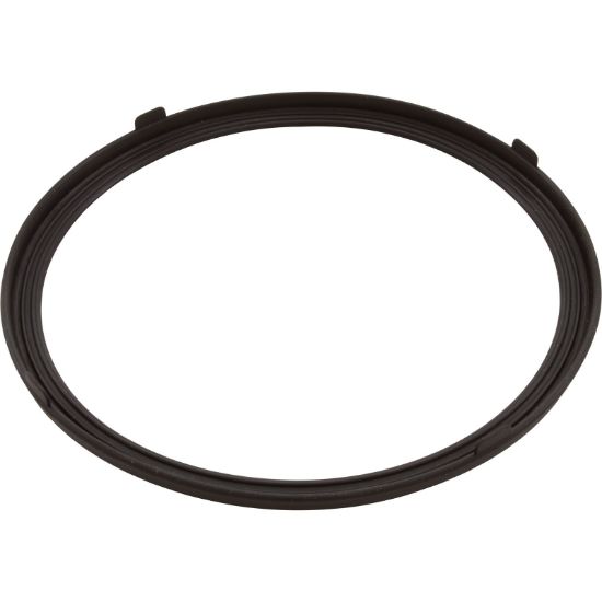 619599Z Gasket Pentair AquaLumin III Light Lens