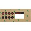 9916-100381 Overlay Gecko TSC-35-GE1 6 Button P1 P2 Bl Lt