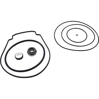 PSK-PU1 Pump Rebuild Kit Pentair/Purex Whisperflo with Viton Seal