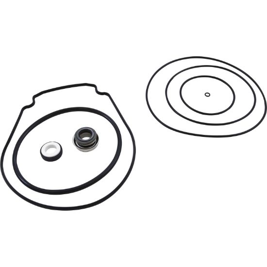 PSK-PU1 Pump Rebuild Kit Pentair/Purex Whisperflo with Viton Seal