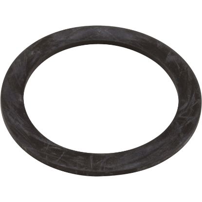 01150-0301 Gasket Astral Sprint 2000 US-1 Pump Union