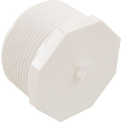 450-025 Plug Lasco 2-1/2