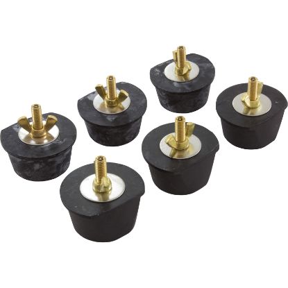 004-302-1672-00 Tool 6Pack Winterizing Plugs 2"