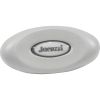 6455-488 Pillow Insert Jacuzzi/Sundance J-300 2014 w/ Emblem