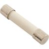 84-404 Jandy Pro Series 3.0 Amp Fuse Autoclearplus 115V