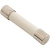 84-404 Jandy Pro Series 3.0 Amp Fuse Autoclearplus 115V