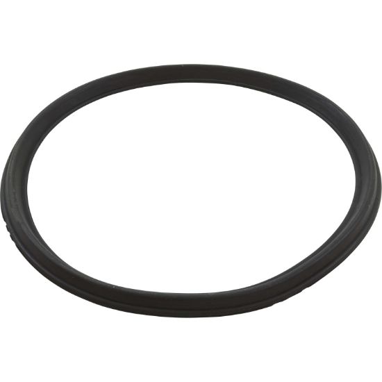 O-290 Gasket Rim 11" Harmsco 550