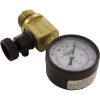 V20-225 Pressure Gauge/Air Relief FNS Plus Val-Pak Generic