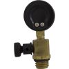 V20-225 Pressure Gauge/Air Relief FNS Plus Val-Pak Generic