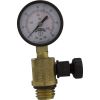 V20-225 Pressure Gauge/Air Relief FNS Plus Val-Pak Generic