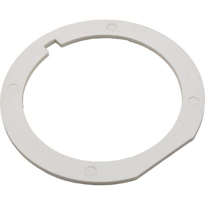 55004800 Bulkhead Washer Pentair American Products Titan/Sandpiper