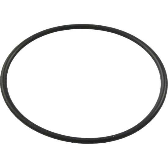 192323 O-Ring Pent PacFab FNS/Nautilus/Plus Drain Plug O-24