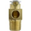 U212-252D Relief Valve Pentair Sta-Rite DEP/HRPB