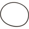 U9-339 Oring