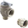 R0336100 Pressure Relief ValveJandy/Zodiac3/4" x 3/4"75psipolymer