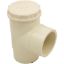 010652 Spring Check Valve Pentair Ortega 1lb 2"