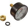 4404210303 Pressure Gauge KIt Astral Terra/Cel Cartridge Filter