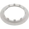 R172691 Safety Flange Pentair Rainbow DFM White