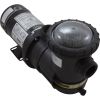94026929 Pump Jacuzzi SLR3/4hp115/230v1-Spd1.5