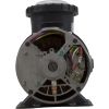 94026929 Pump Jacuzzi SLR3/4hp115/230v1-Spd1.5