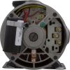  PumpSta-Rite/BWG Dura-Jet DJ2.0hp230v2-Spd2