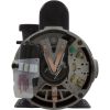  Pump BWG Vico Ultimax 1.5SPL Century230v 2-Spd 48fr 2