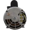 08342761-2041HZW2 Pump Aqua Flo XP3 4.0hp Century 230v 2-Spd 56fr 2-1/2