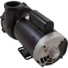 08326000-2041HZW Pump Aqua Flo XP3 2.5hp Century 230v 2-Spd 56fr 2-1/2